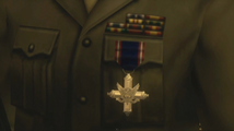 Big Boss' service medals in Metal Gear Solid 3: Snake Eater.