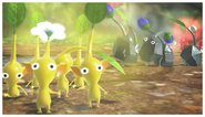 Close-up of some Pikmin from Pikmin 3.
