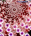 Thumbnail for version as of 00:48, 14 May 2026