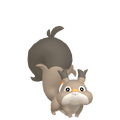Skwovet's render in Pokémon Home