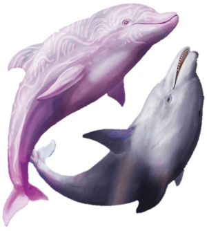 Dolphin Delighter.png