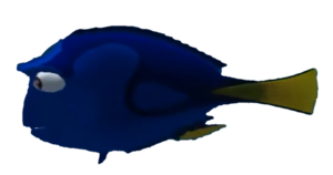Dory (Video Game).png