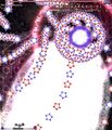 Thumbnail for version as of 23:23, 21 June 2026